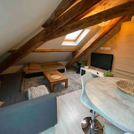 Gap : Centre Ville : Appartement Cosy Exterior foto