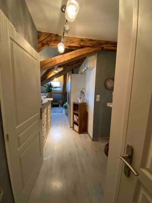 Gap : Centre Ville : Appartement Cosy Exterior foto